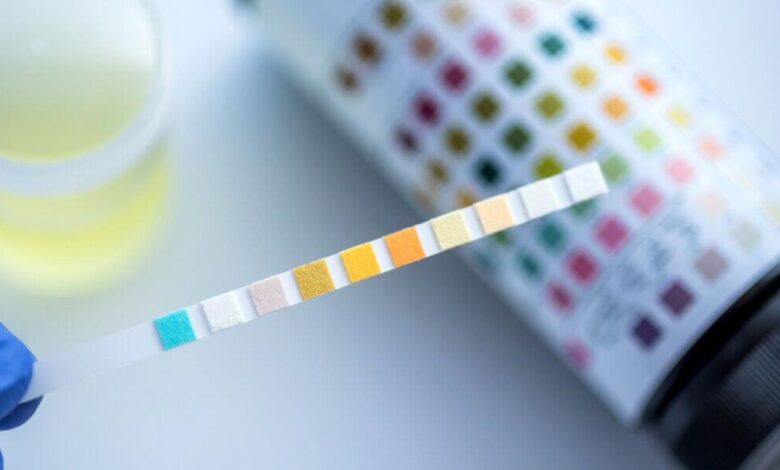 How Long Does a Drug Stay in Your System